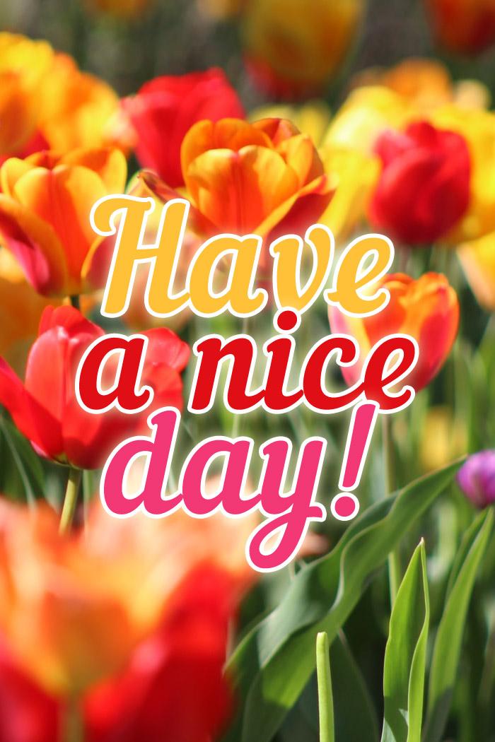 Have a nice day Image vertical (tall rectangle shape picture)