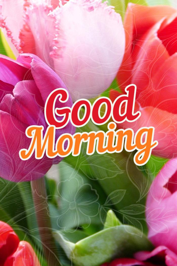 Good Morning - picture with colorful tulips, vertical image (tall rectangle shape picture)