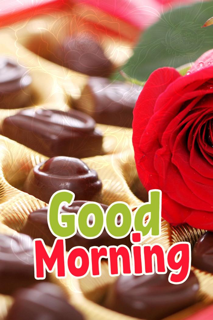 Good Morning - picture with a rose and chocolates - vertical picture (tall rectangle shape picture)