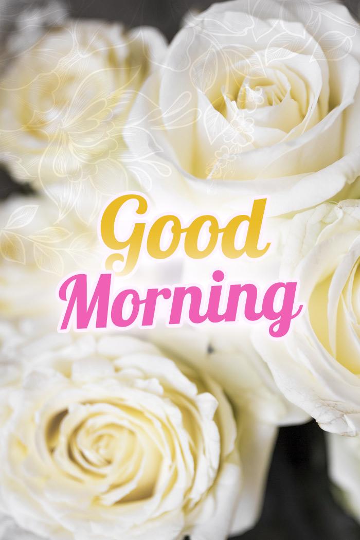 Good Morning Image with white roses, vertical size (tall rectangle shape picture)