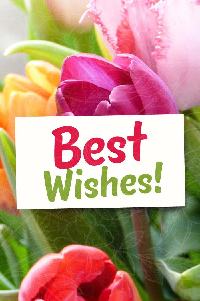 Best Wishes picture, with tulips on background, vertical image (tall rectangle shape picture)