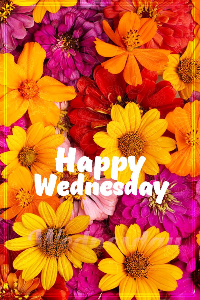 Happy Wednesday Image with colorful flowers, vertical picture (tall rectangle shape picture)