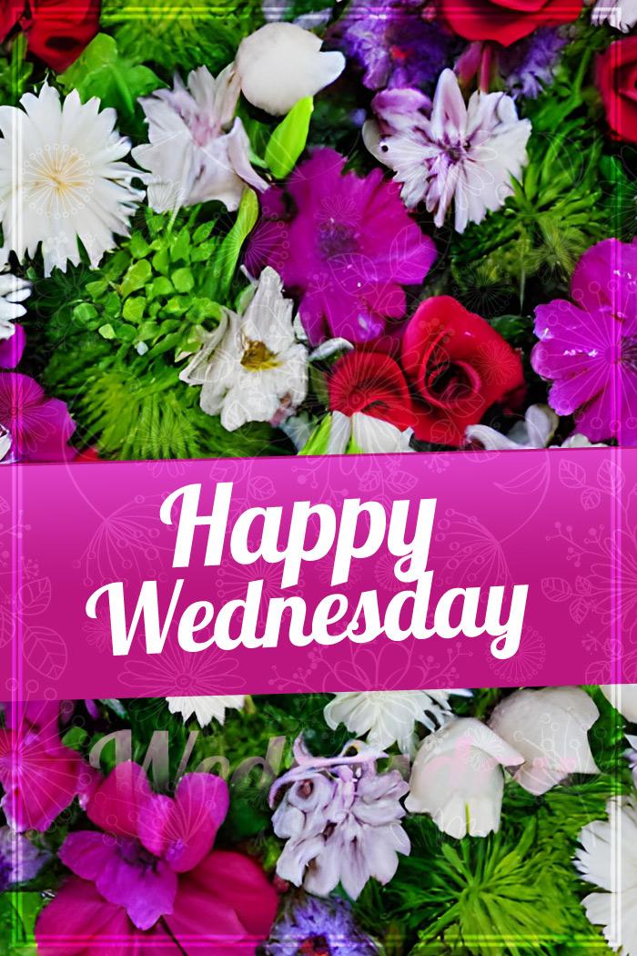 Happy Wednesday Picture with beautiful flowers, vertical image (tall rectangle shape picture)