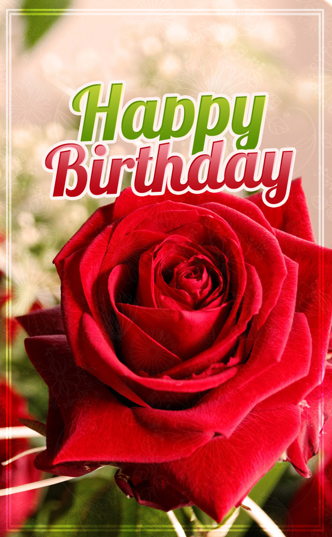 Happy birthday image with beautiful red rose, vertical picture (tall rectangle shape picture)