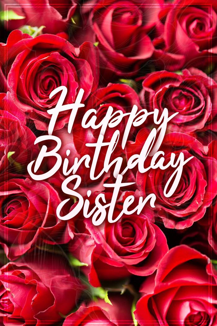 Happy Birthday Sister image with beautiful red roses, vertical picture (tall rectangle shape picture)