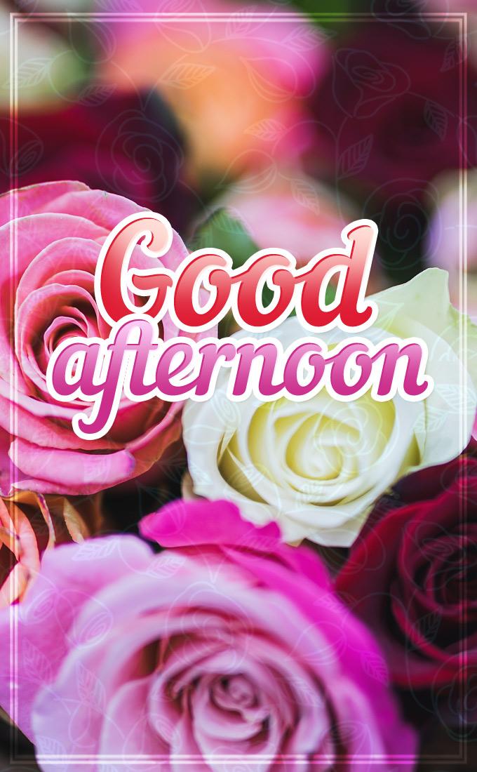 Good Afternoon image with beautiful red, pink and white roses, vertical picture (tall rectangle shape picture)