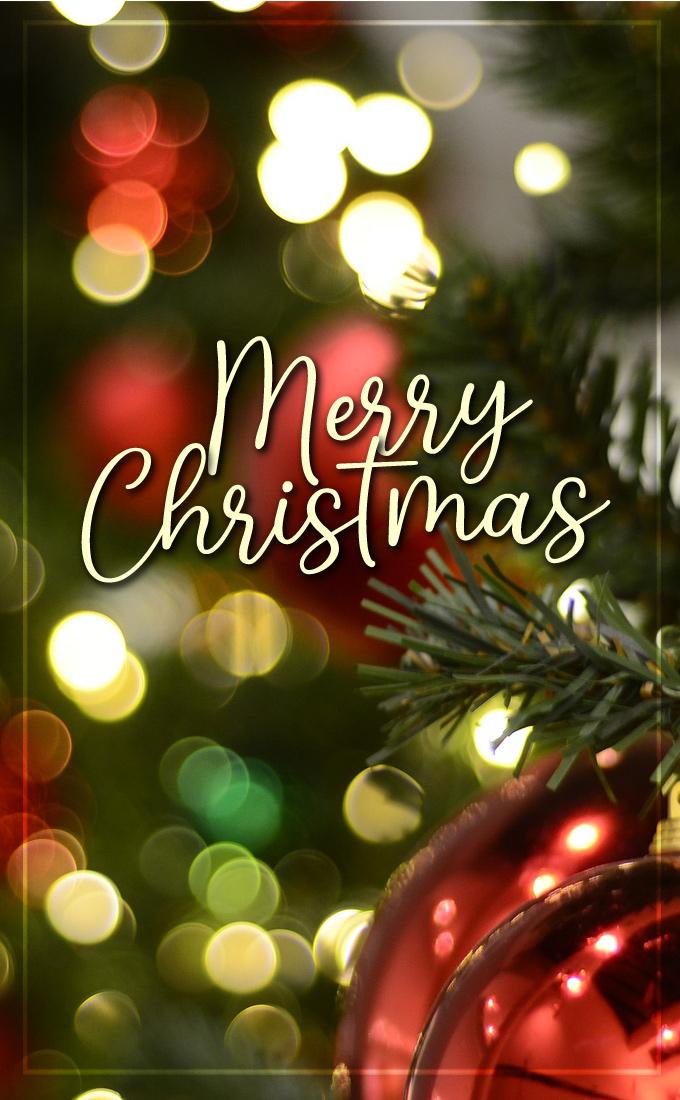 Merry Christmas image with beautiful blurred background, vertical picture (tall rectangle shape picture)