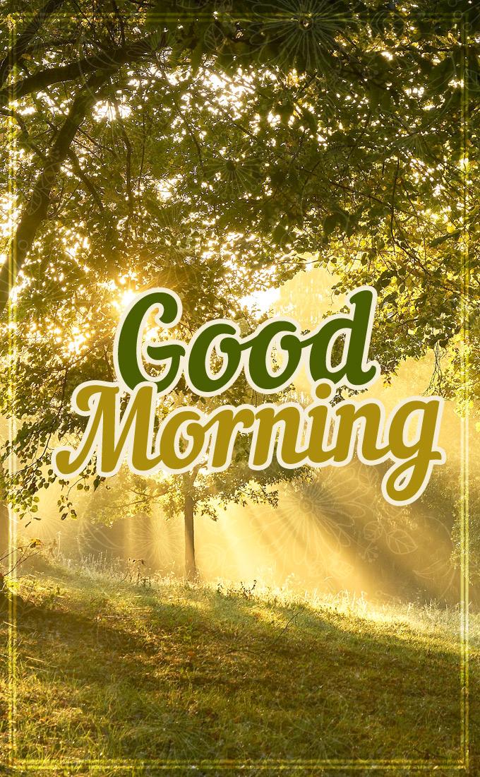 Good Morning image with beautiful forest on the background, vertical picture (tall rectangle shape picture)