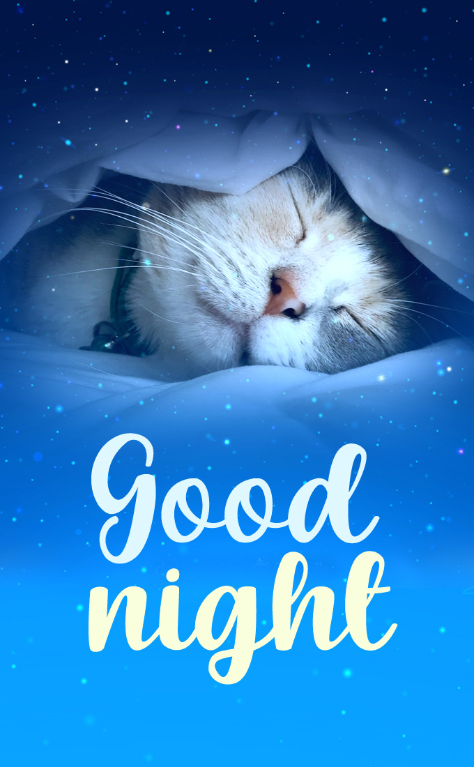 Good night wishes with a photo of a sleeping cat, vertical picture (tall rectangle shape picture)