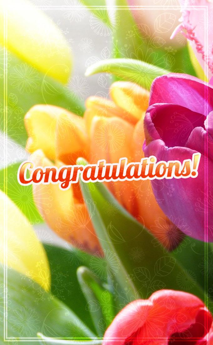 Congratulations Image with beautiful tulips, vertical picture (tall rectangle shape picture)