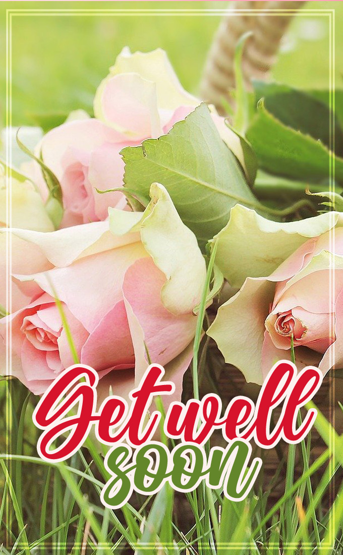Get Well Soon vertical tall Image with beautiful roses (tall rectangle shape picture)