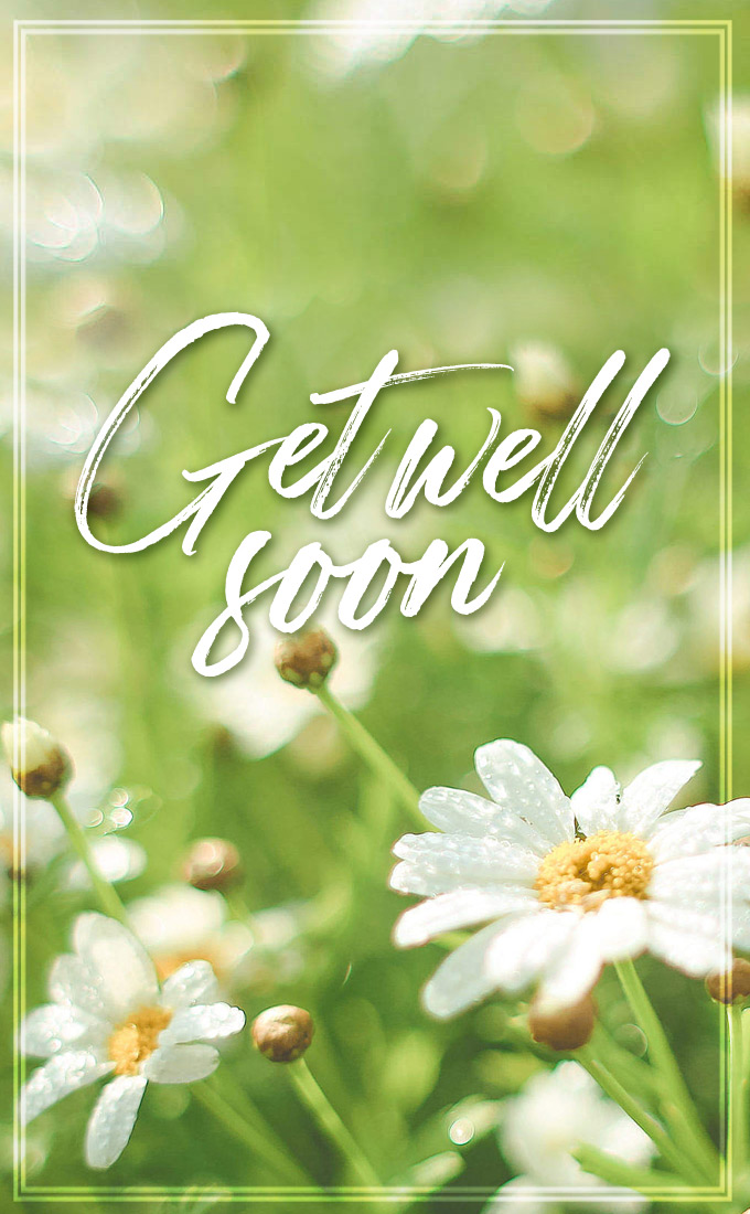 Get Well Soon tall vertical Image with chamomile flowers (tall rectangle shape picture)