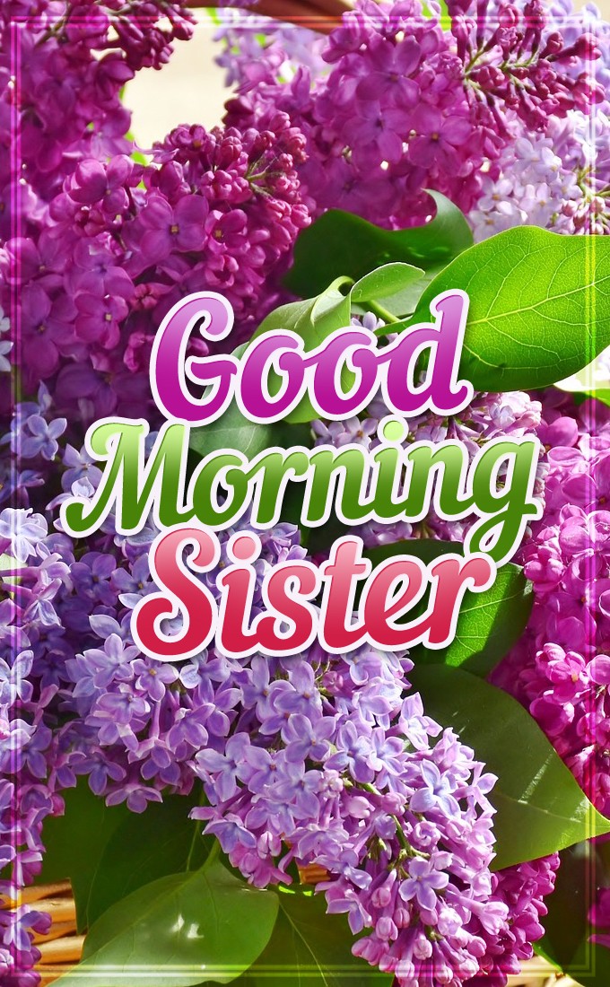 Good Morning Sister vertical tall image with lilac bush on the background (tall rectangle shape picture)