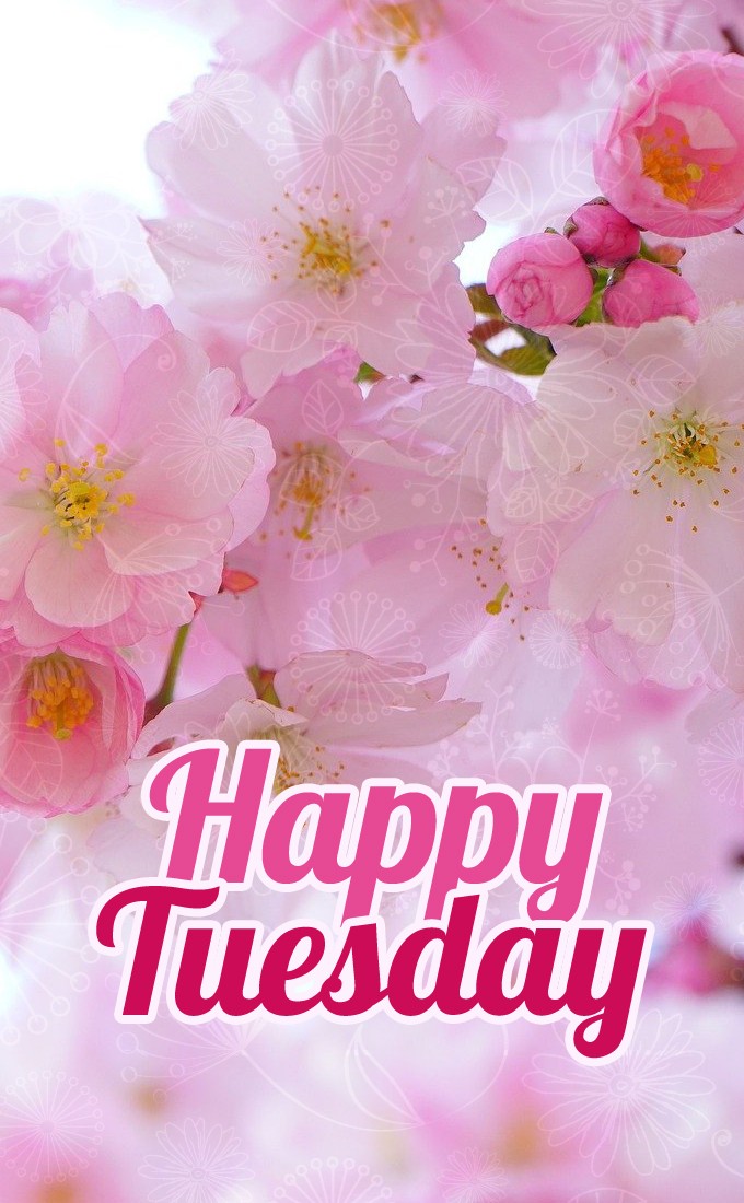 Happy tuesday vertical tall image with cherry tree (tall rectangle shape picture)