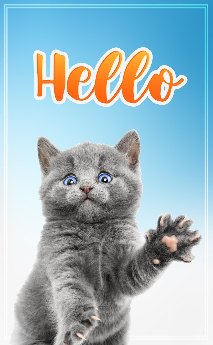 Hello Image with cute kitten, vertical tall picture (tall rectangle shape picture)