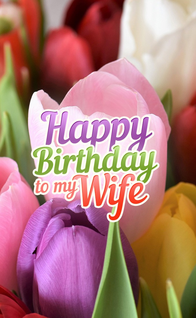 Happy Birthday to my Wife vertical tall picture with colorful tulips (tall rectangle shape picture)