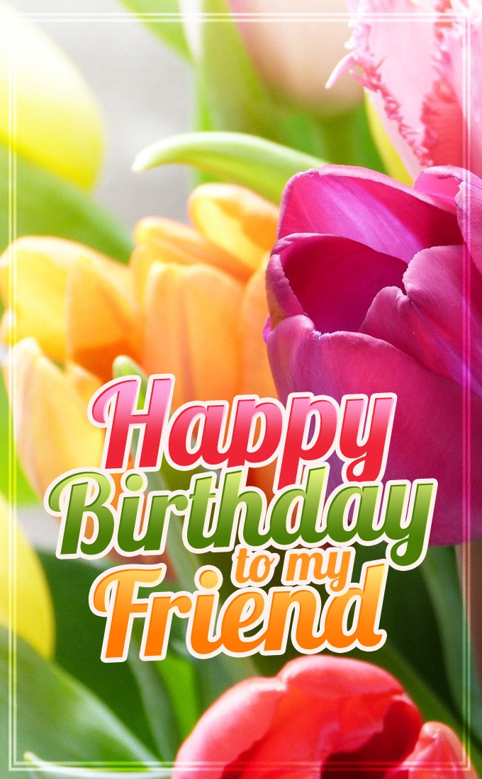 Happy Birthday to my Friend vertical tall picture with beautiful tulips (tall rectangle shape picture)