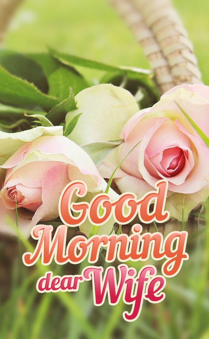 Good Morning dear Wife vertical tall image with pink roses (tall rectangle shape picture)