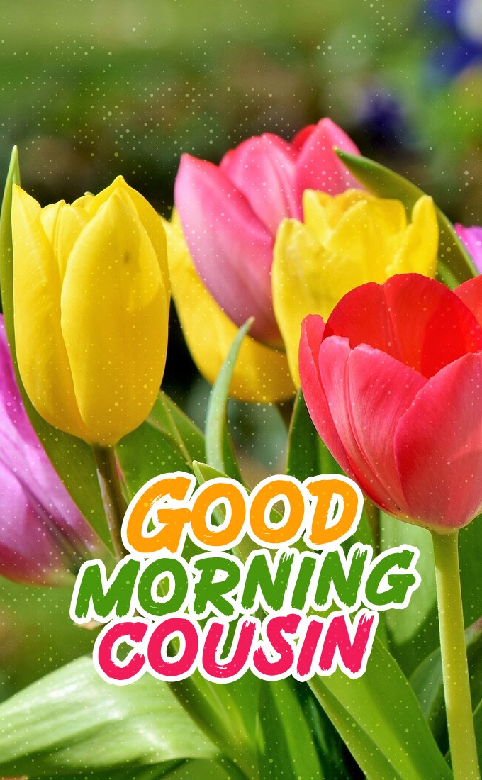 Good Morning Cousin vertical tall image with colorful tulips (tall rectangle shape picture)