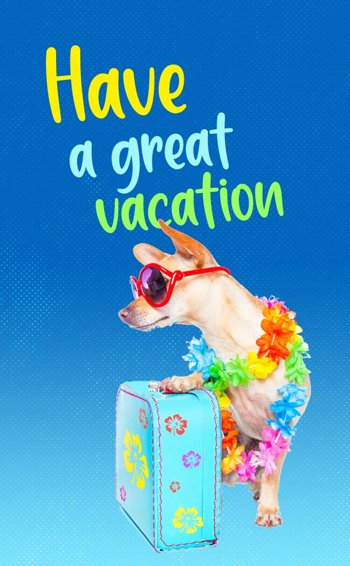 Have a great Vacation funny picture with dog (tall rectangle shape picture)