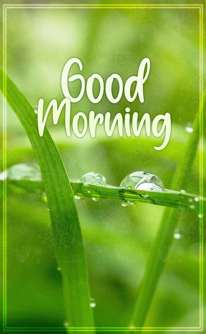 Good Morning vertical tall picture with dew drops on a leaf (tall rectangle shape picture)