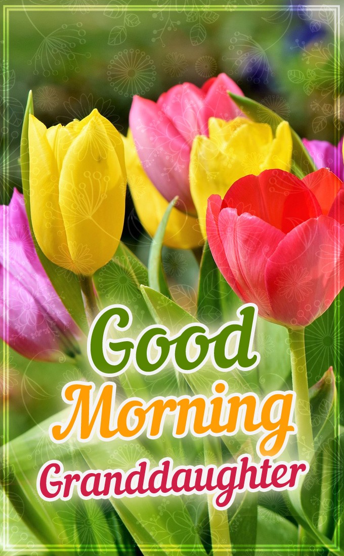 Good Morning granddaughter vertical tall image with colorful flowers (tall rectangle shape picture)