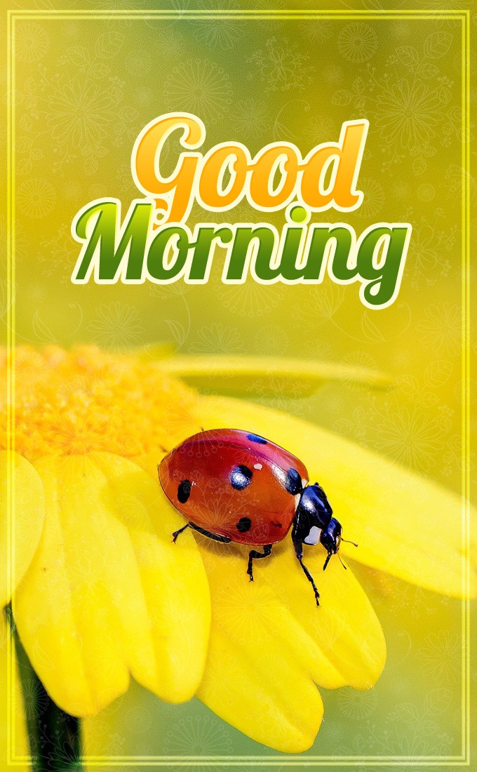 Good Morning vertical tall picture of a ladybug sitting on a yellow flower (tall rectangle shape picture)