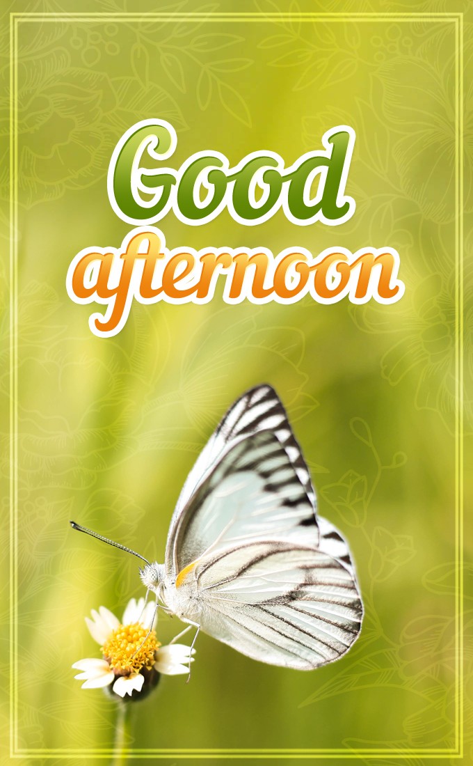 Good Afternoon beautiful vertical tall image with butterfly (tall rectangle shape picture)