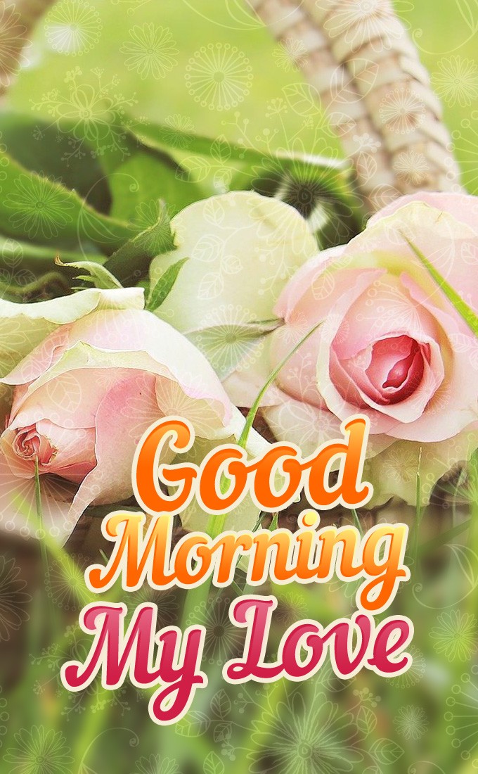 Good Morning My Love vertical tall image with beautiful pink roses (tall rectangle shape picture)