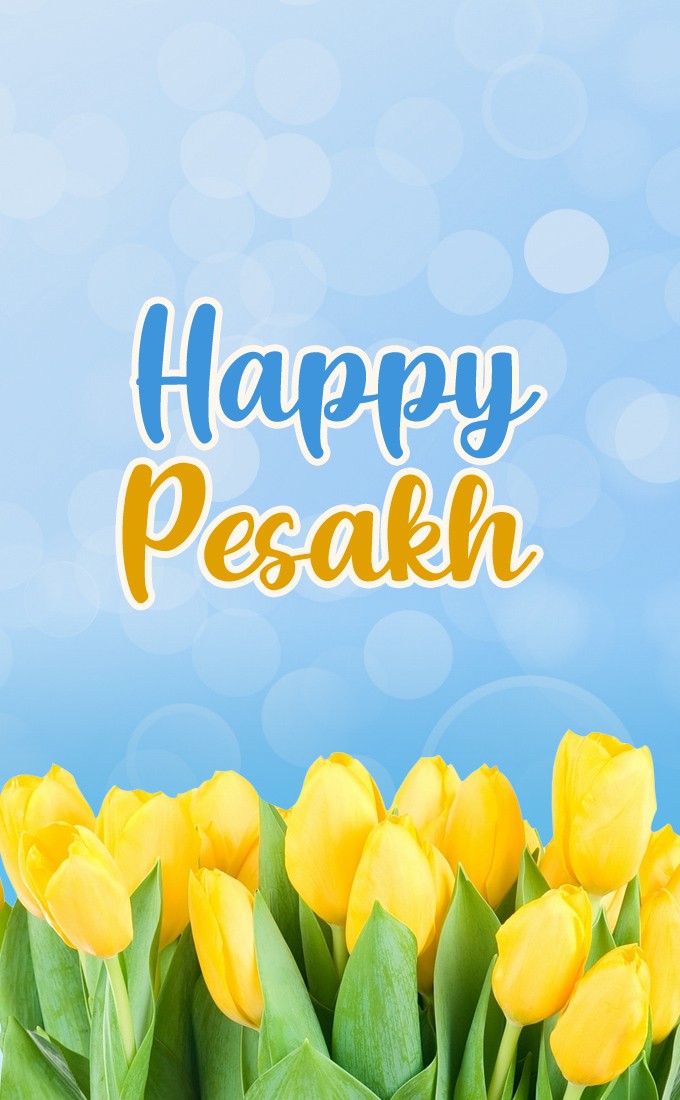 Happy Pesach vertical tall picture with yellow tulips (tall rectangle shape picture)