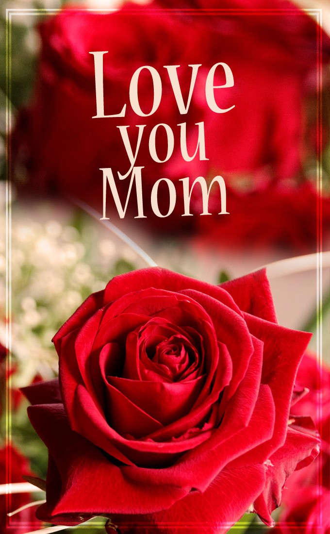 Happy Mother's Day vertical tall picture with red rose (tall rectangle shape picture)