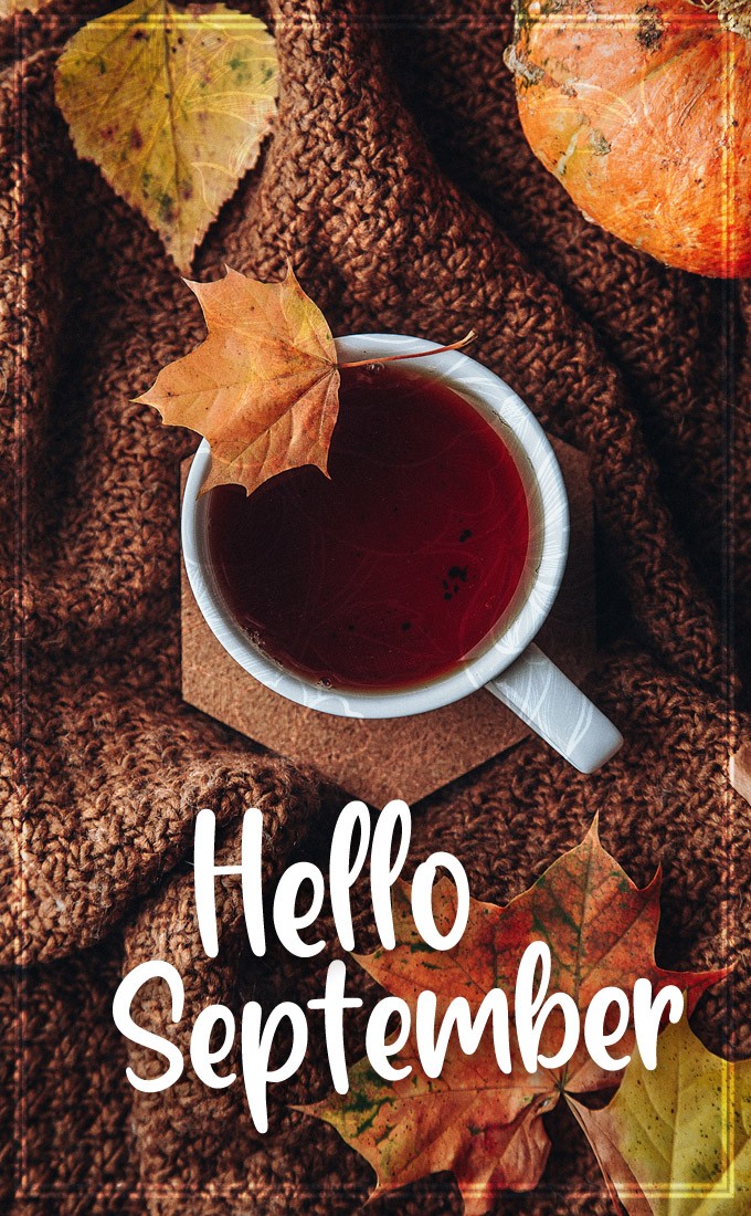 Hello September cosy Image with plaid, hot tea and pumpkin (tall rectangle shape picture)