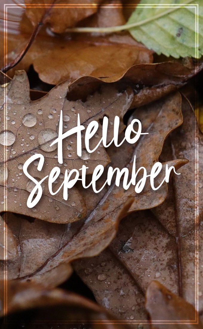 Hello September picture with raindrops on leaves (tall rectangle shape picture)