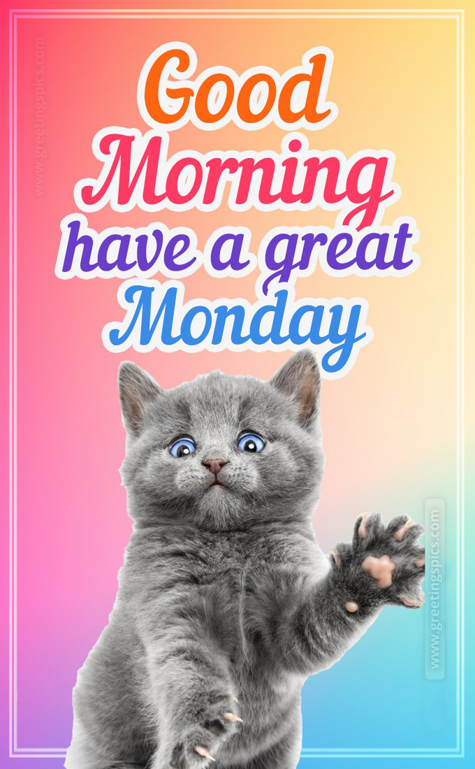 Good Morning Monday colorful image with cute kitten (tall rectangle shape picture)