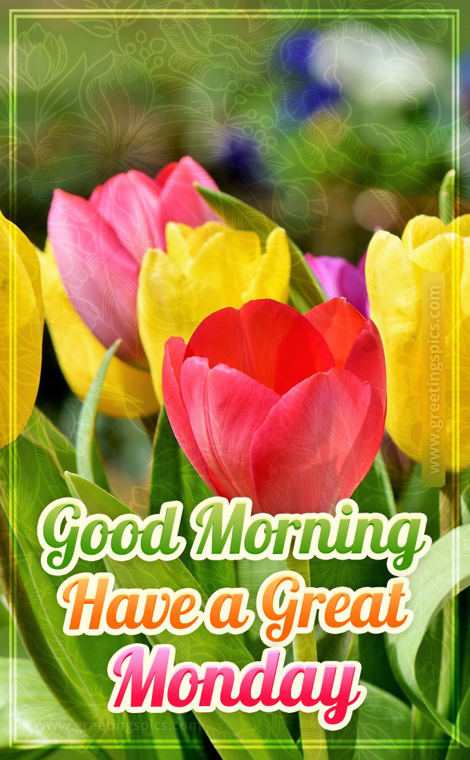 Good Morning, have a great Monday picture with beautiful tulips (tall rectangle shape picture)