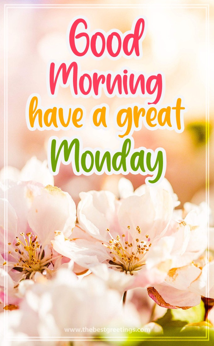 Good Morning Monday image with beautiful pink flowers (tall rectangle shape picture)