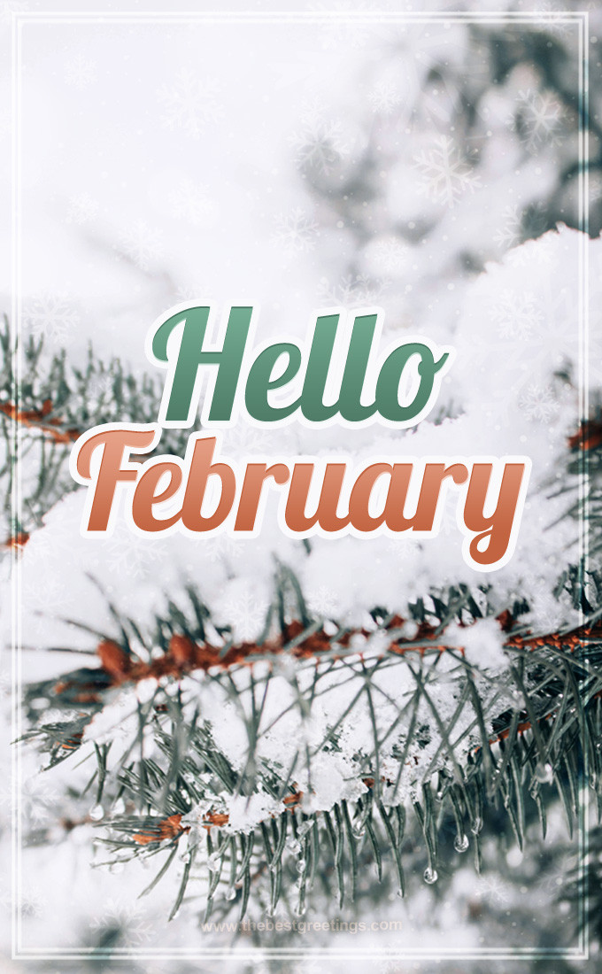 Hello February image with an inscription on a background of snow-covered pine (tall rectangle shape picture)