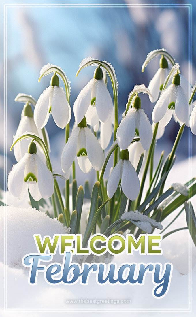 Welcome February image with delicate snowdrops in the snow (tall rectangle shape picture)