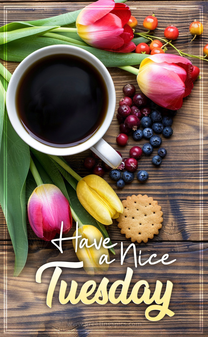 Have a Nice Tuesday image with a cup of coffee and beautiful tulips (tall rectangle shape picture)