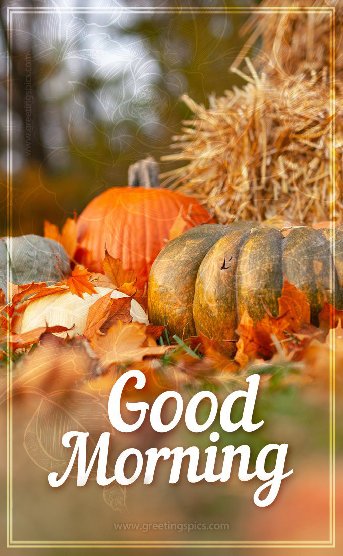 Good Morning picture of pumpkins and hay in the fall forest (tall rectangle shape picture)