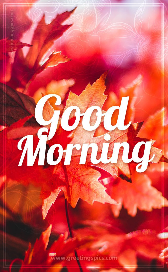 Good Morning picture with an inscription on the background of bright autumn leaves (tall rectangle shape picture)