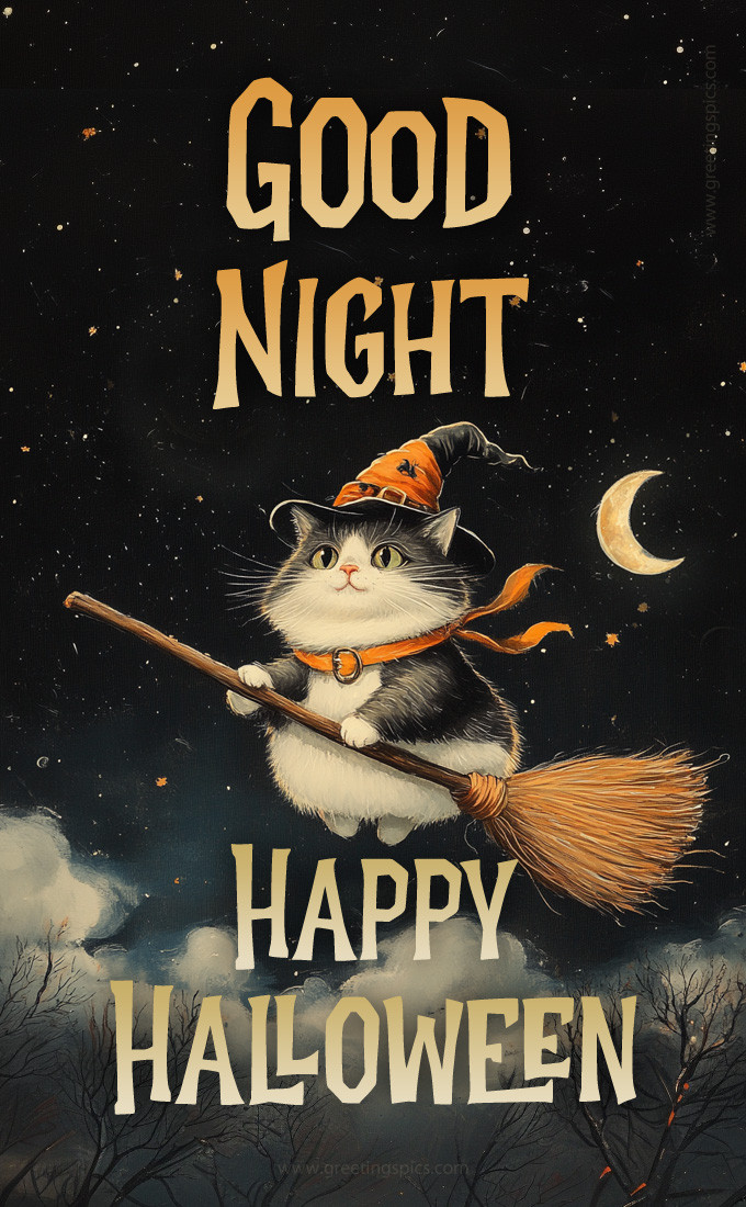 Good Night Happy Halloween image with a cute cat flying on a broomstick (tall rectangle shape picture)