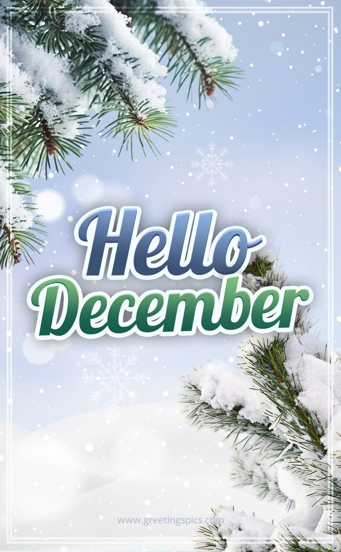 Hello December picture with fir branches (tall rectangle shape picture)