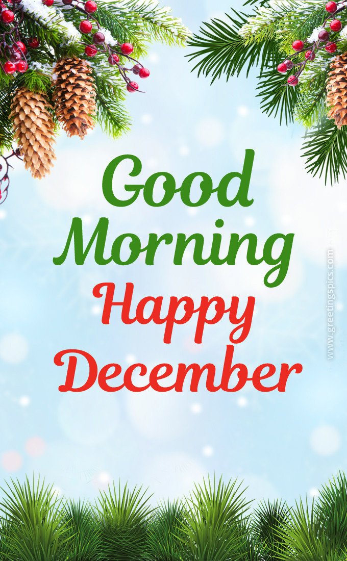 Good Morning Happy December picture with fir branches (tall rectangle shape picture)