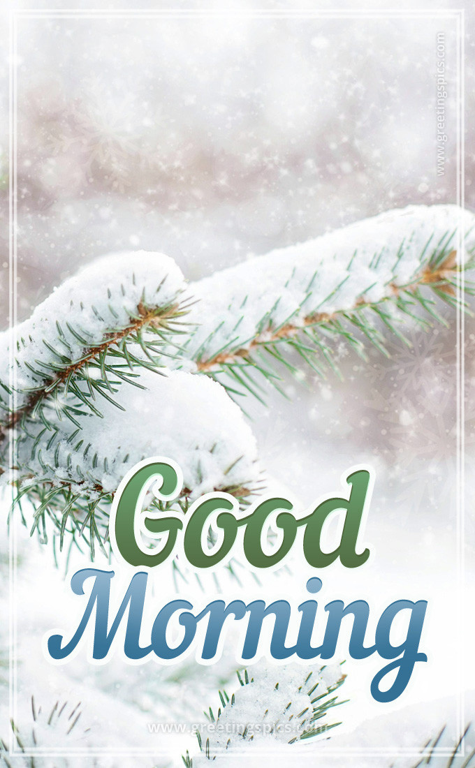 Beautiful winter picture with Good Morning Wishes with a fir branch in the snow (tall rectangle shape picture)