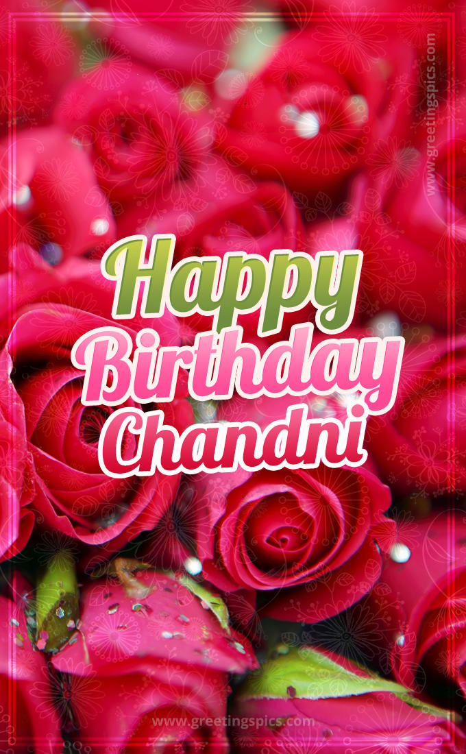 Happy Birthday Chandni beautiful Image with red roses (tall rectangle shape picture)