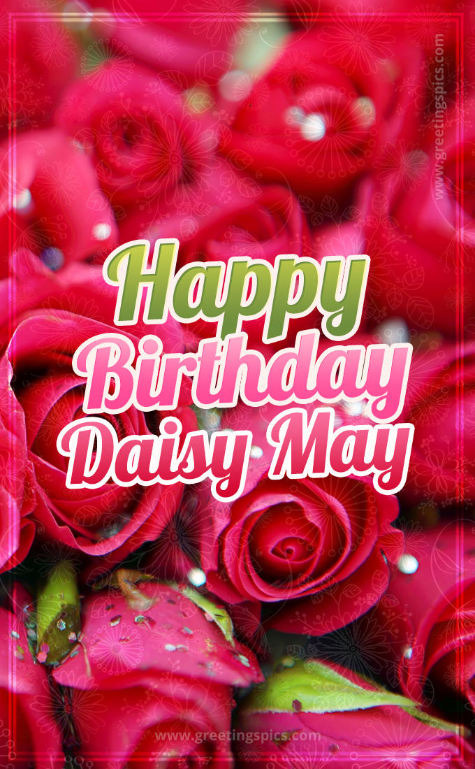 Happy Birthday Daisy May beautiful Image with red roses (tall rectangle shape picture)