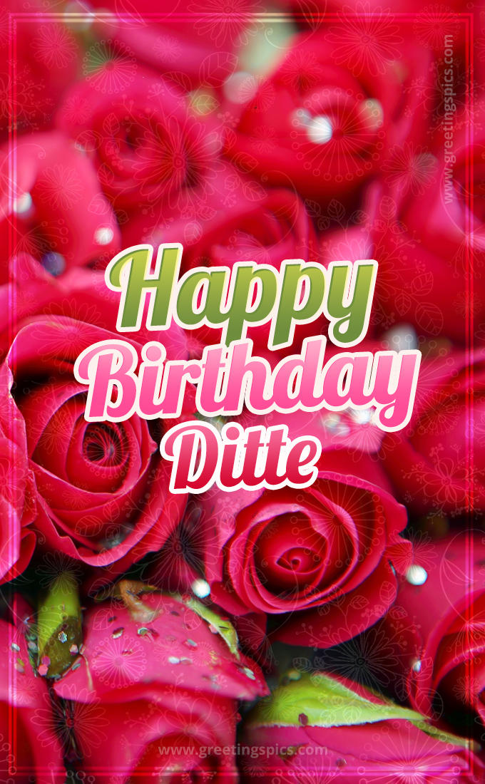 Happy Birthday Ditte beautiful Image with red roses (tall rectangle shape picture)