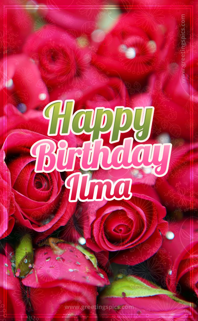 Happy Birthday Ilma beautiful Image with red roses (tall rectangle shape picture)