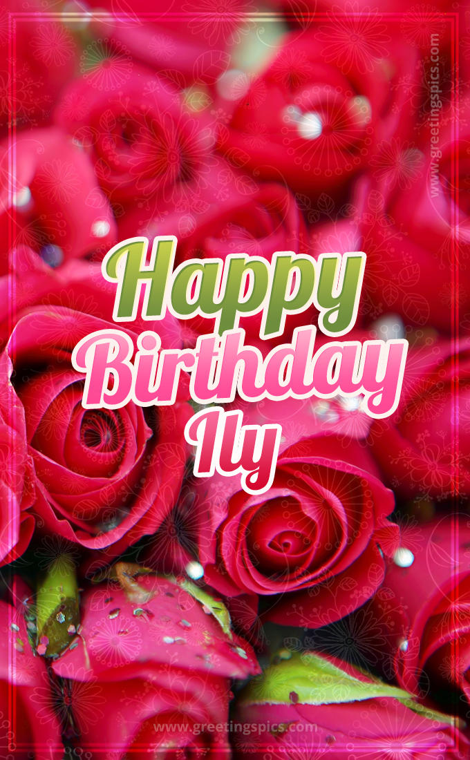 Happy Birthday Ily beautiful Image with red roses (tall rectangle shape picture)